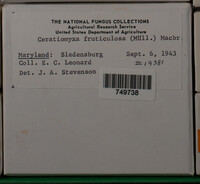 Image Associated With the Occurence